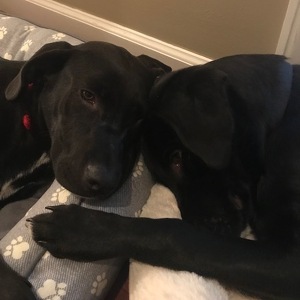 Anne Marie Gallagher